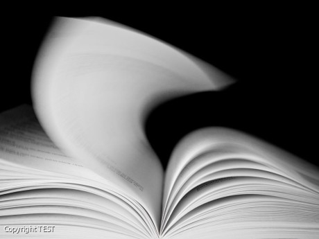 Copyright TEST